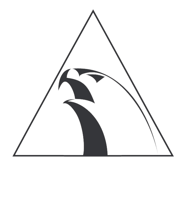 Alliance Jiu Jitsu San Diego